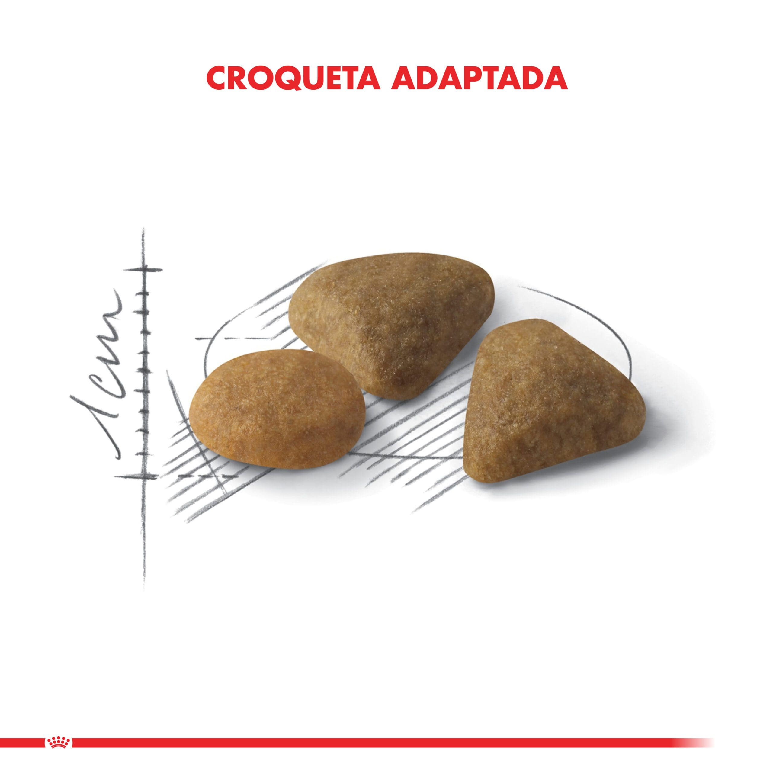 Royal Canin Gato Adulto Exigent 1.5Kg ( Seco ) - Imagen 5