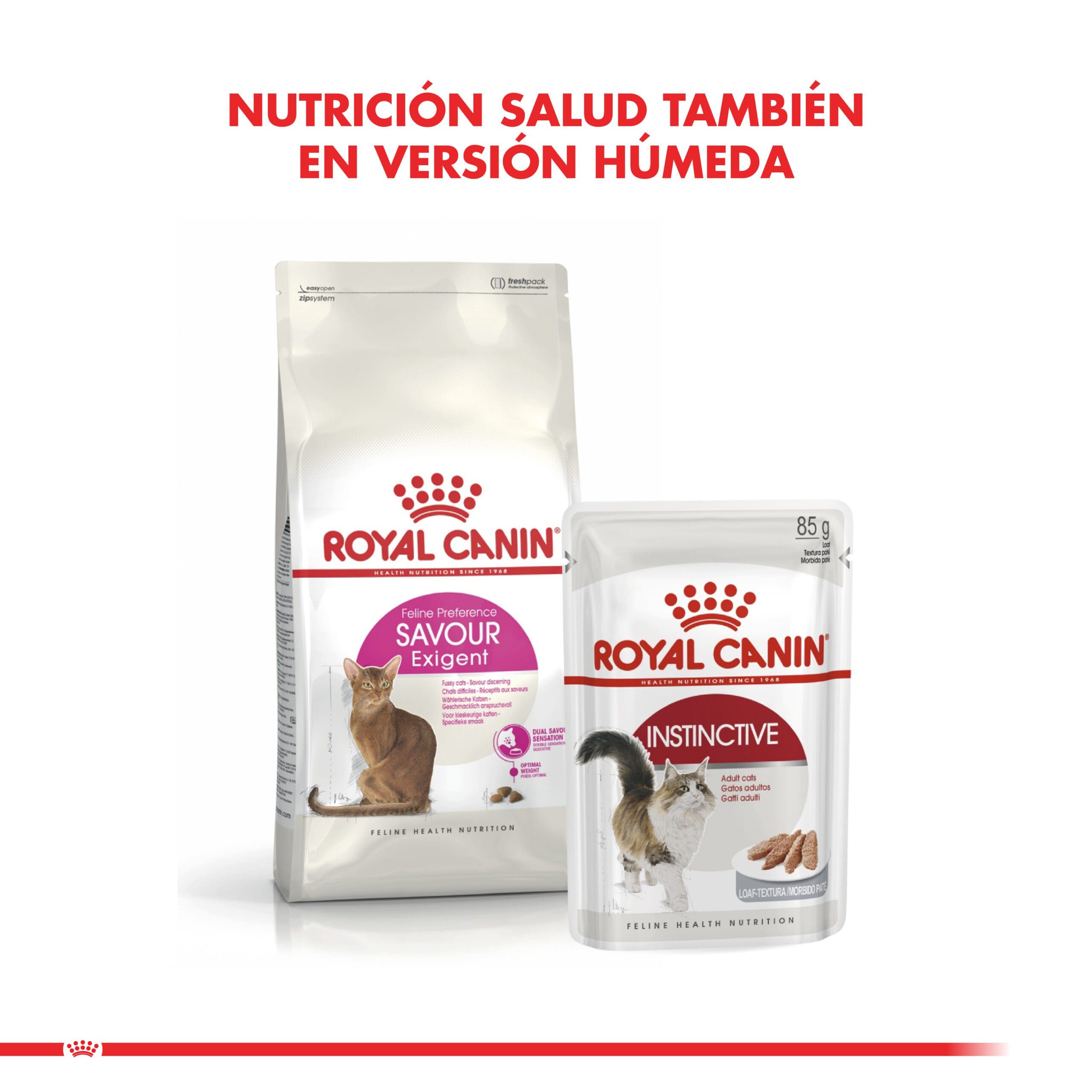 Royal Canin Gato Adulto Exigent 1.5Kg ( Seco ) - Imagen 3