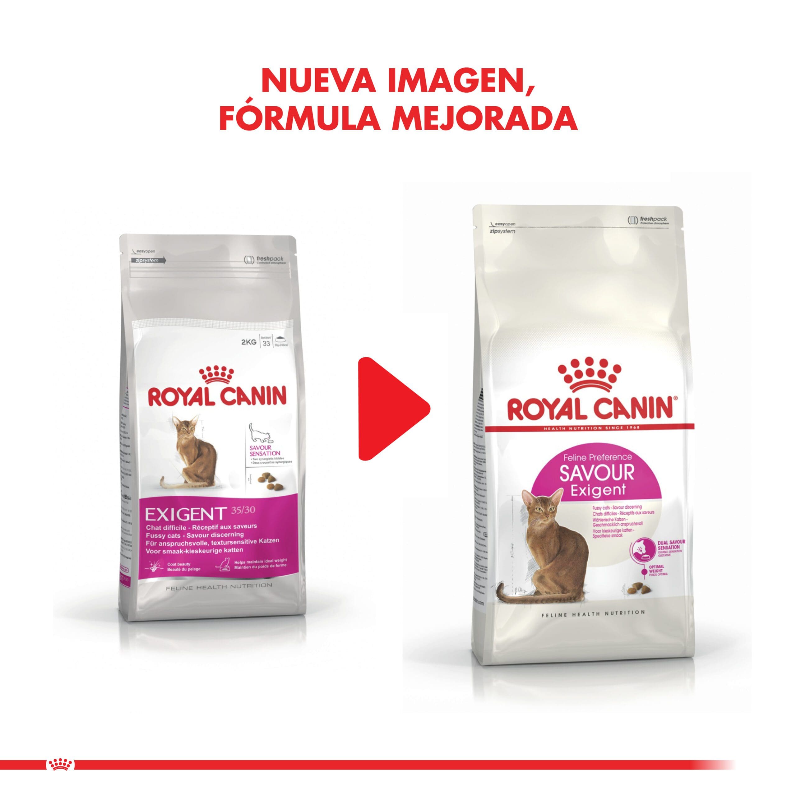 Royal Canin Gato Adulto Exigent 1.5Kg ( Seco ) - Imagen 2