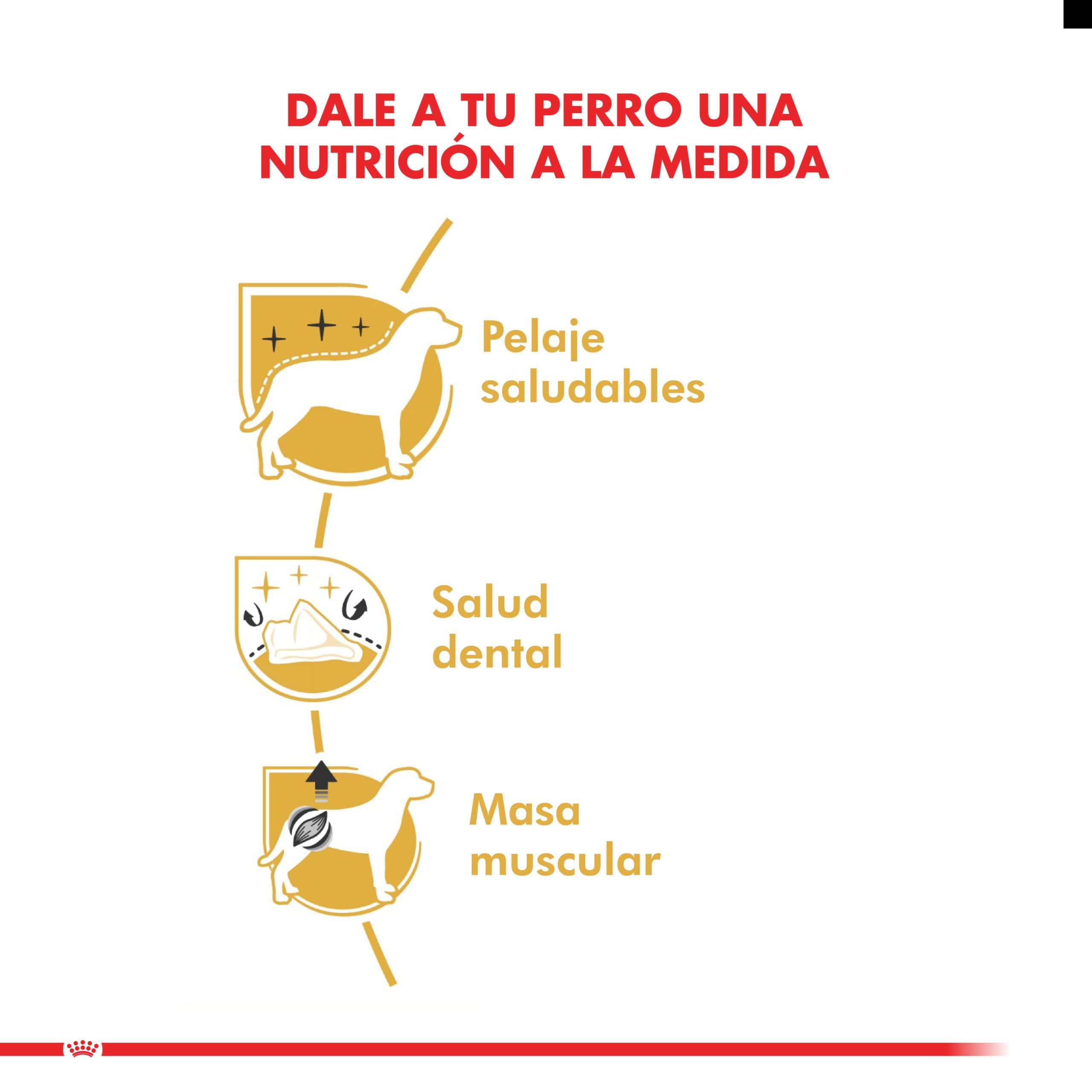 Royal Canin Perro Poodle Adulto 7.5Kg ( Seco ) - Imagen 4