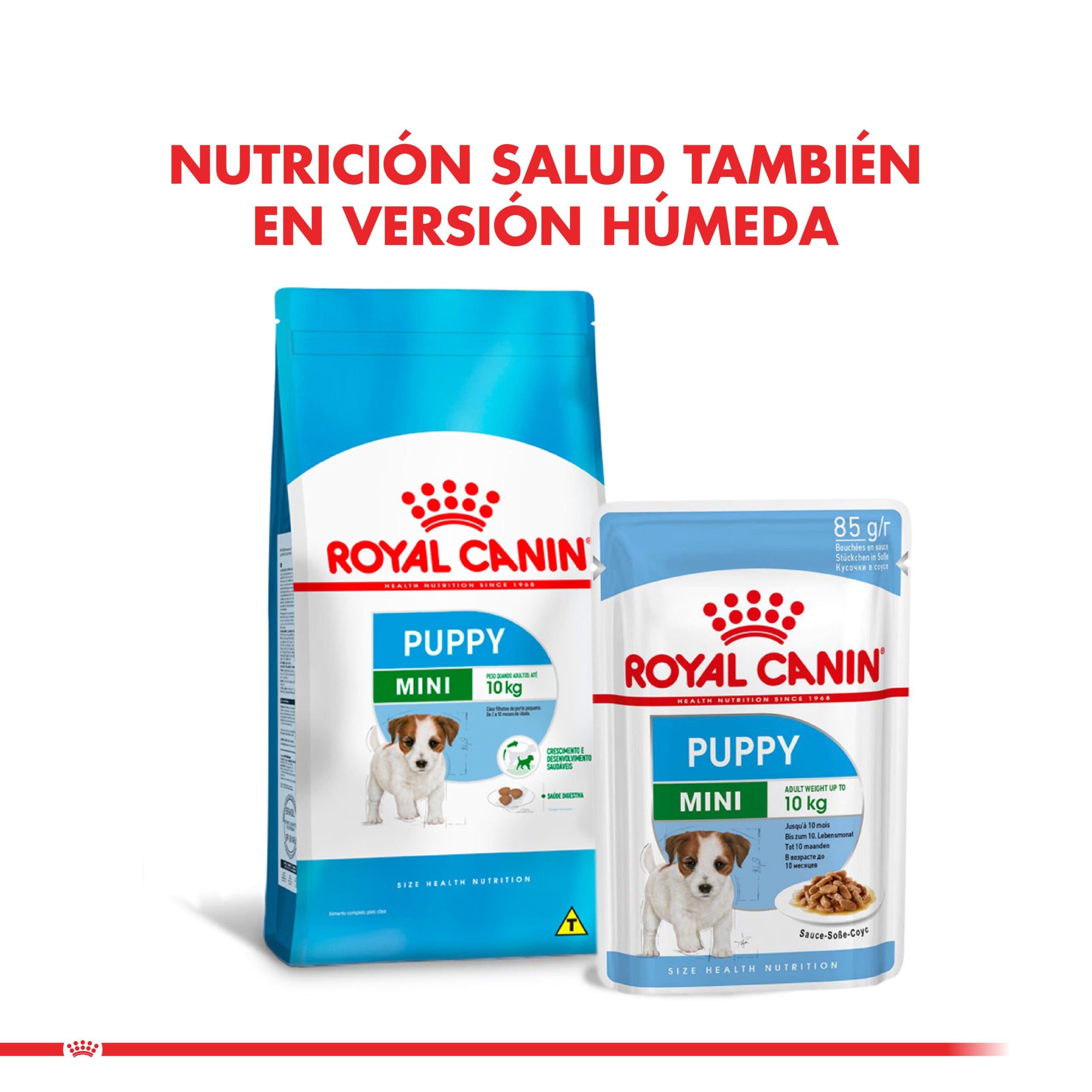 Royal Canin Cachorro Mini Puppy 1Kg ( Seco ) - Imagen 2