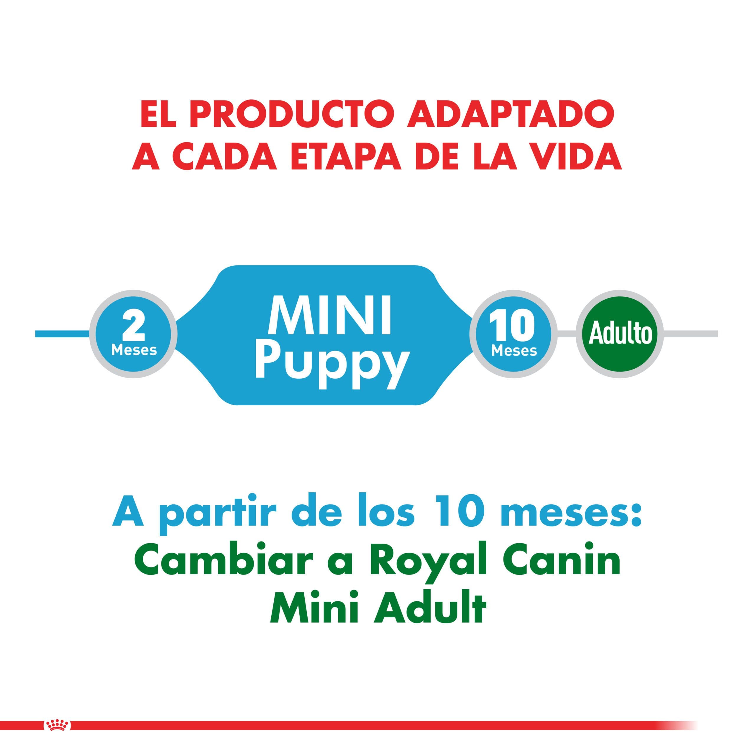 Royal Canin Cachorro Mini Puppy 1Kg ( Seco ) - Imagen 5