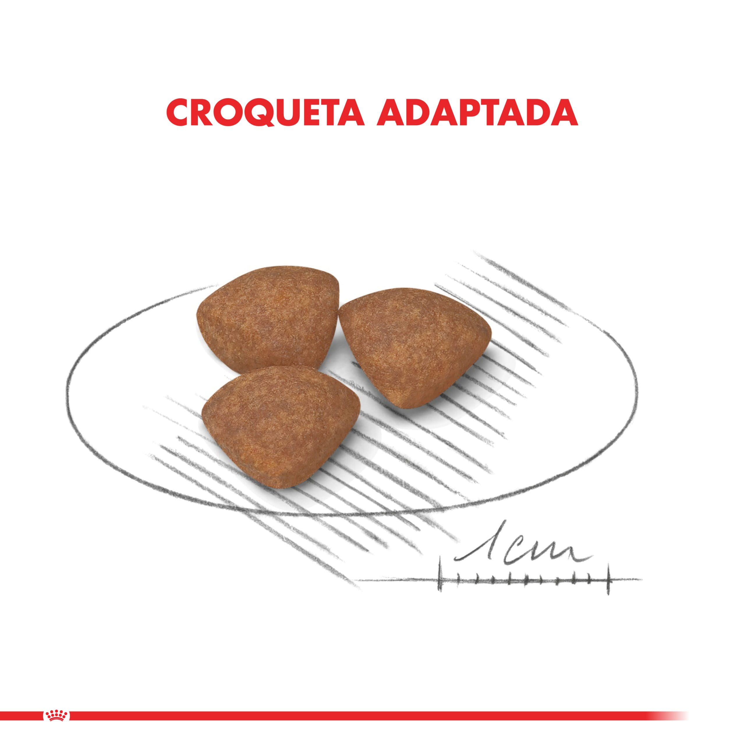 Royal Canin Cachorro Mini Puppy 1Kg ( Seco ) - Imagen 6