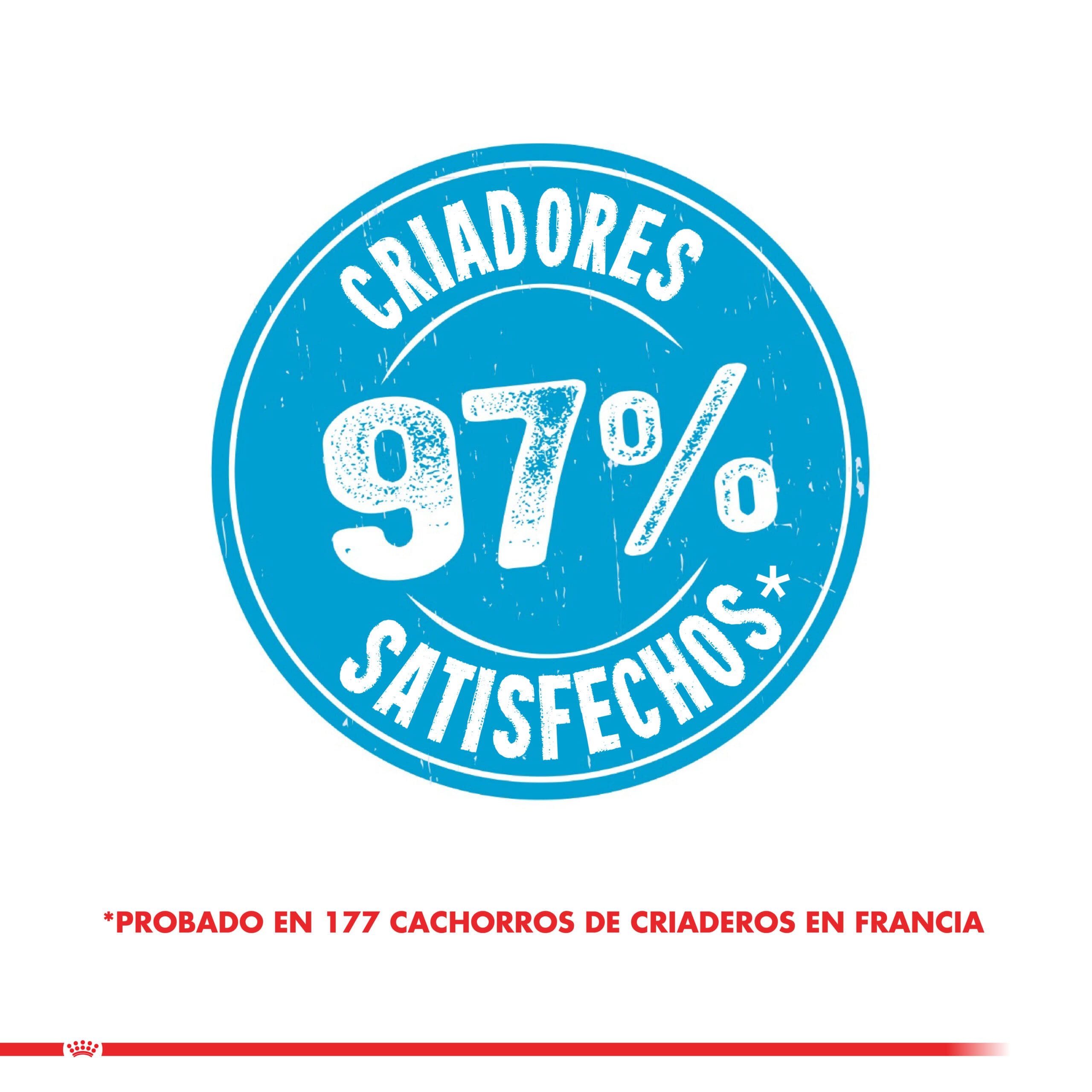 Royal Canin Cachorro Mini Puppy 1Kg ( Seco ) - Imagen 8