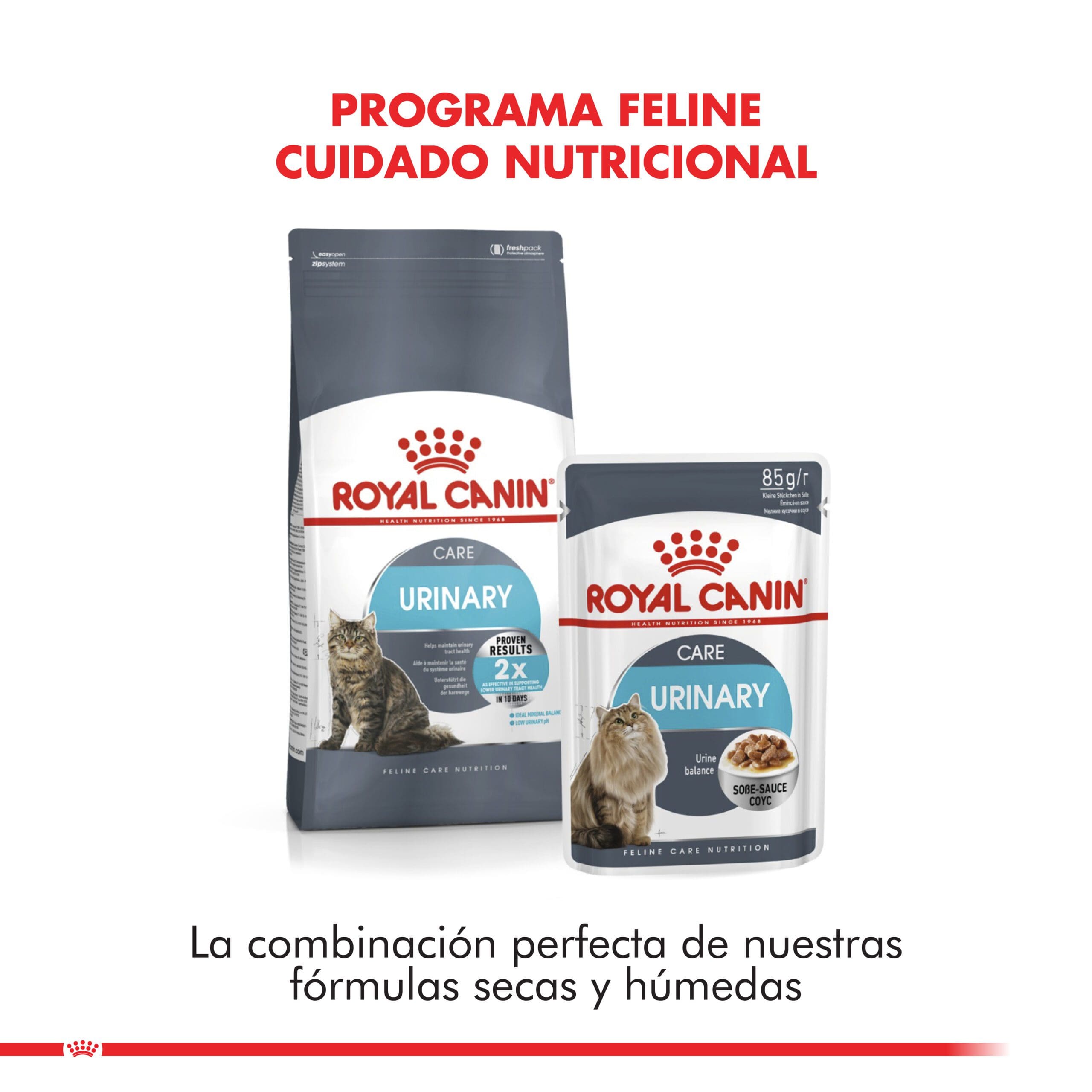 Royal Canin Gato Adulto Urinary Care 1.5Kg ( Seco ) - Imagen 4