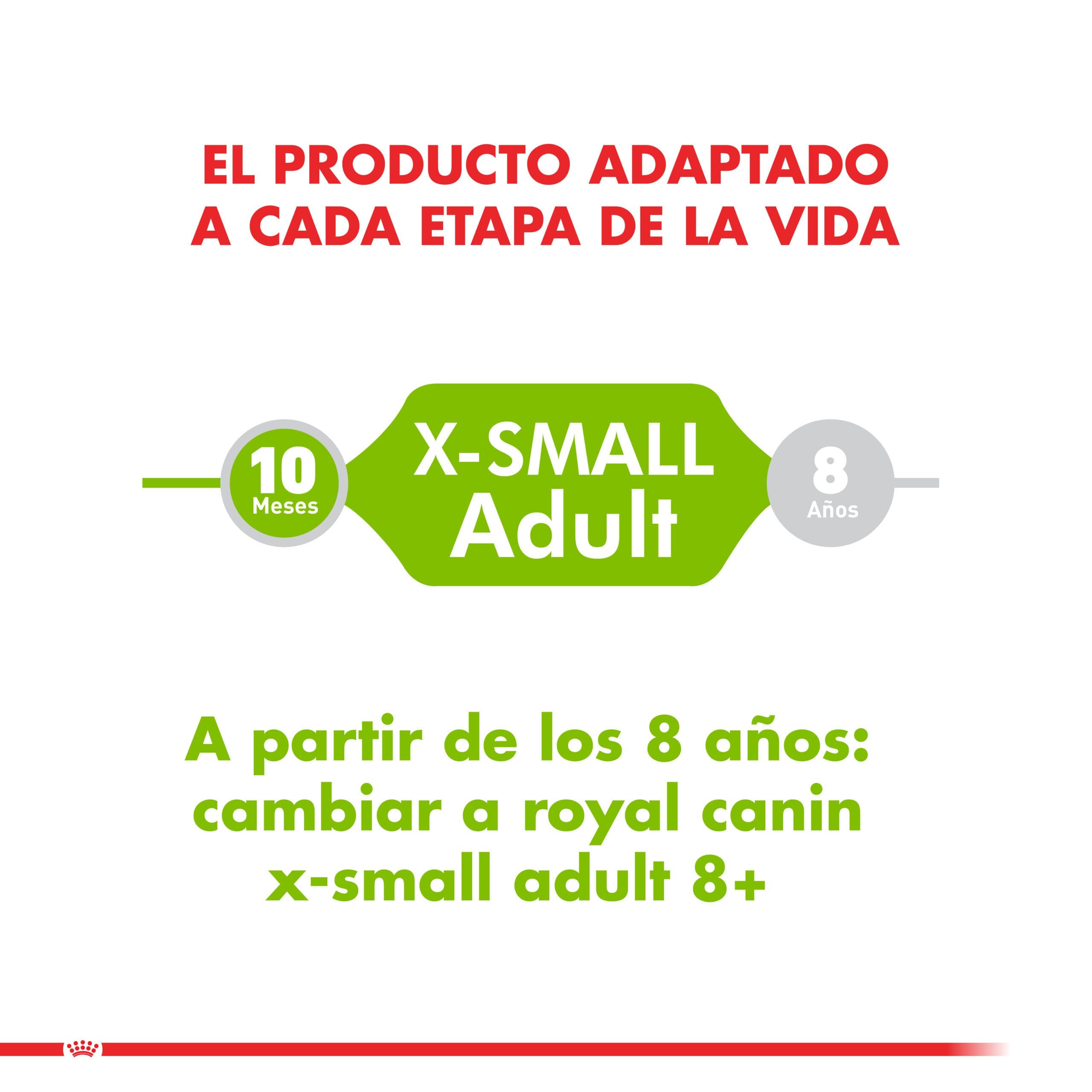 Royal Canin Perro X-Small Adulto 1Kg ( Seco ) - Imagen 4