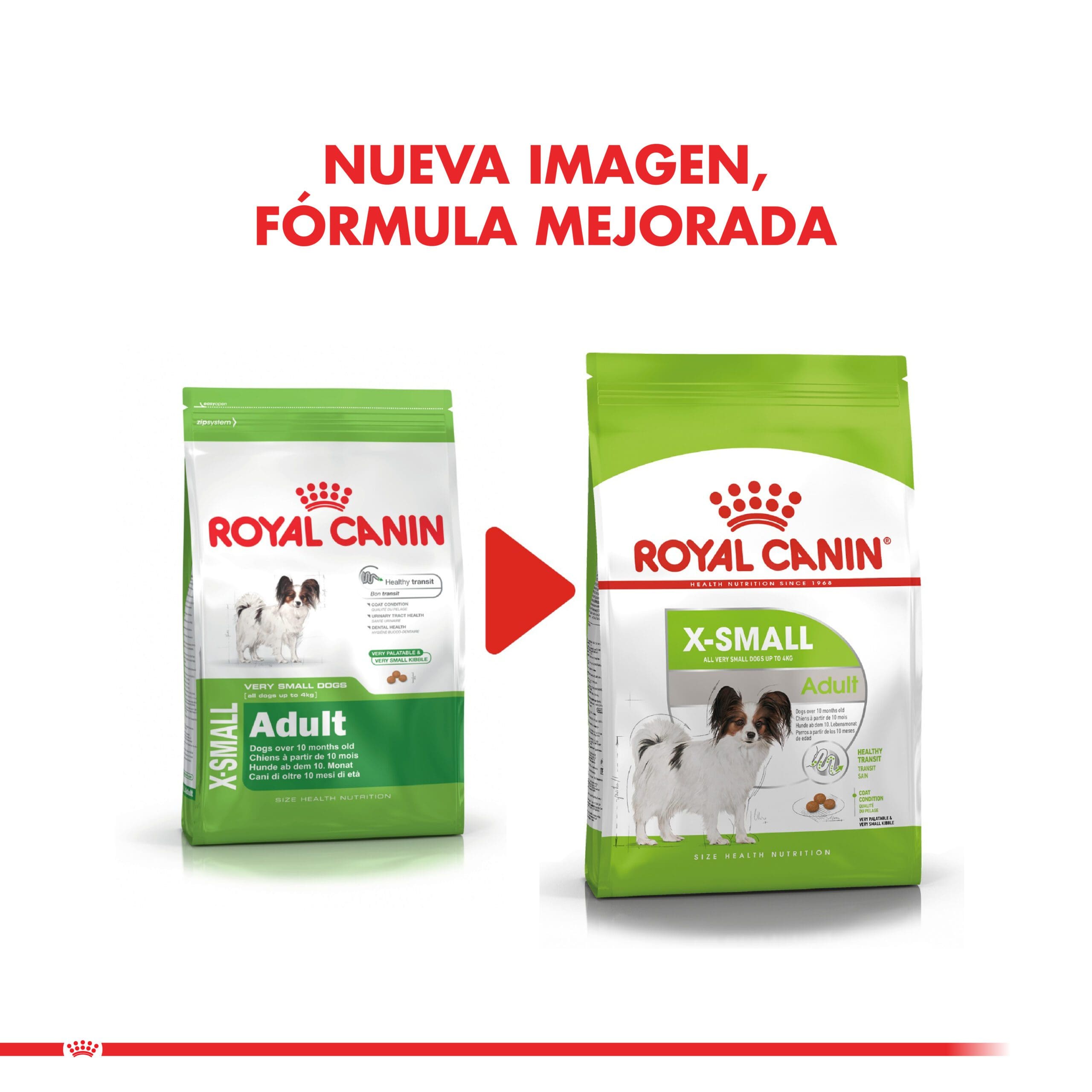Royal Canin Perro X-Small Adulto 1Kg ( Seco ) - Imagen 2