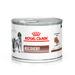 Royal Canin Gato Adulto Recovery Canine/Feline Lata  ( Humedo ) 145gr