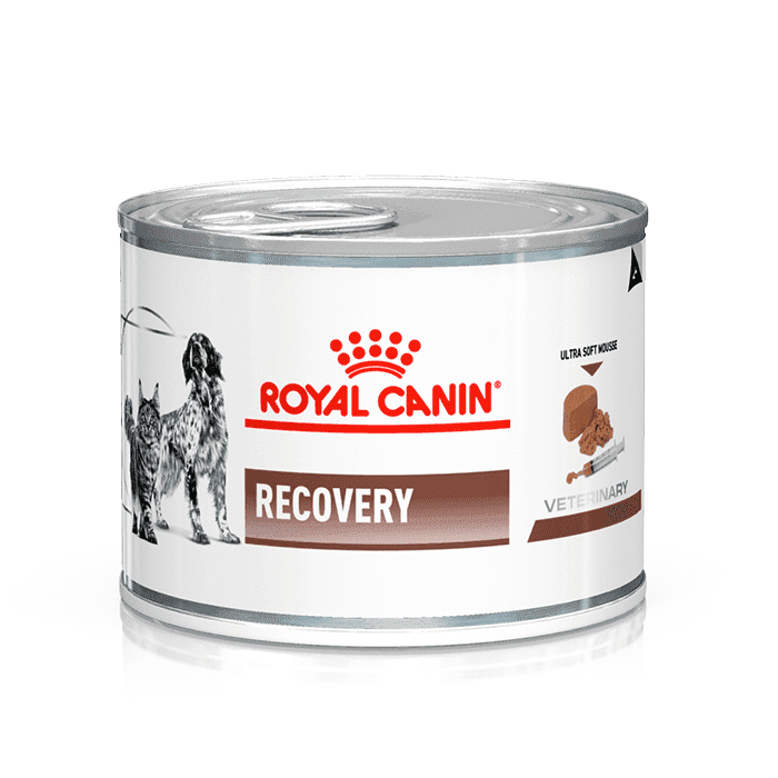 Royal Canin Gato Adulto Recovery Canine/Feline Lata ( Humedo ) 145gr