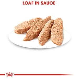 Royal Canin Gatito Kitten Instinctive Lata 145gr ( Humedo ) - Imagen 5