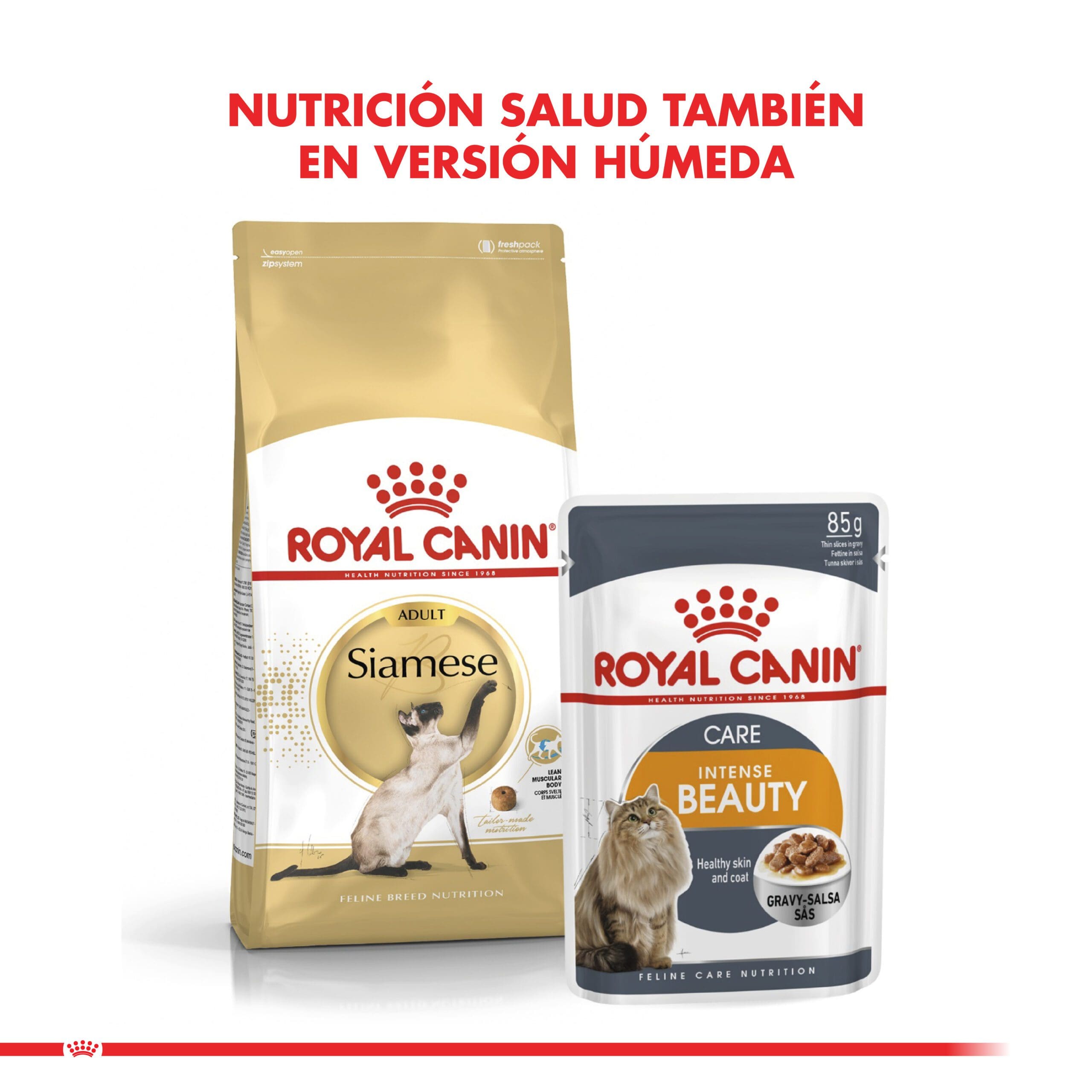 Royal Canin Gato Adulto Siamese 1.5Kg ( Seco ) - Imagen 2