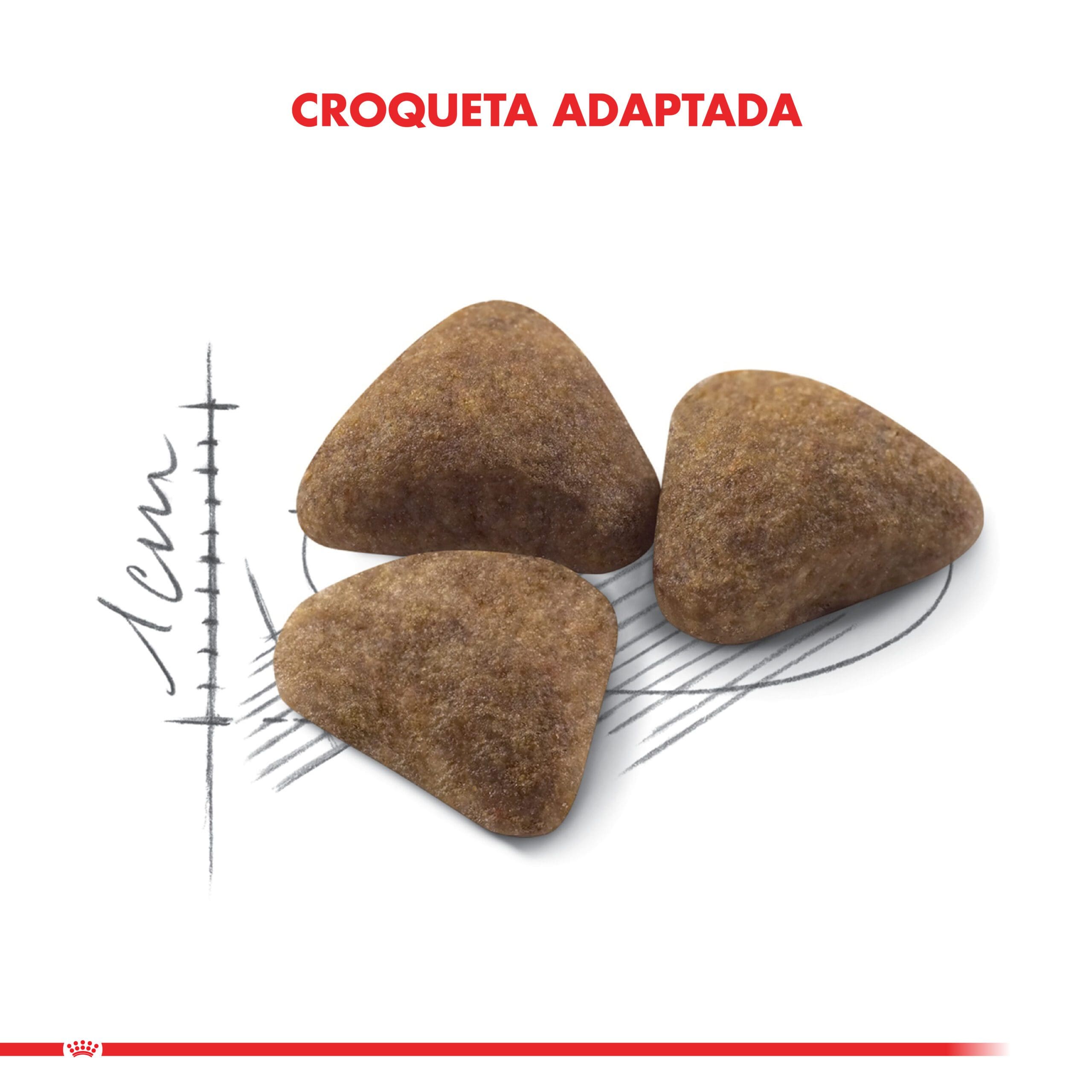 Royal Canin Gato Adulto Indoor Feline 1.5Kg ( Seco ) - Imagen 4