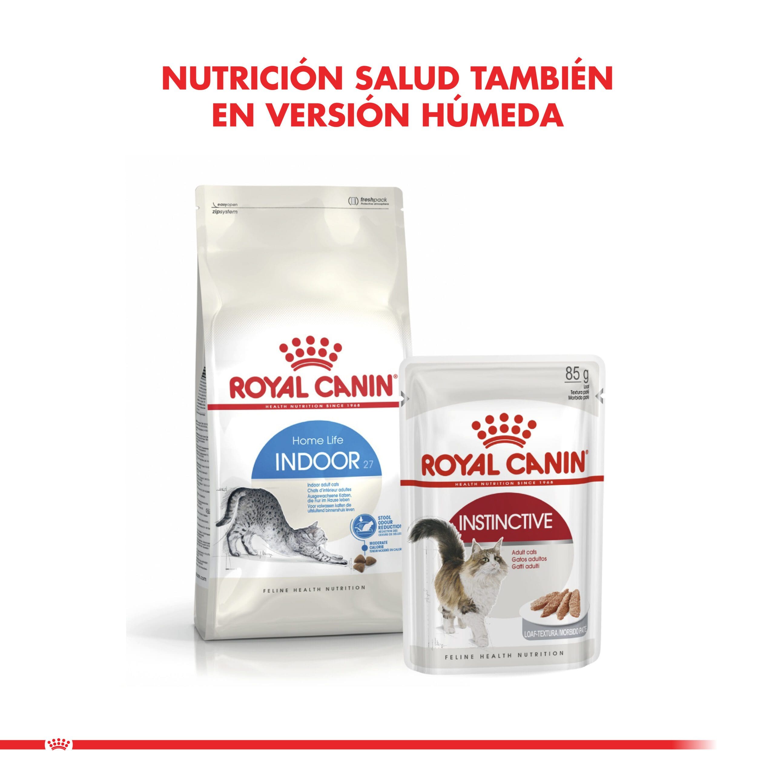 Royal Canin Gato Adulto Indoor Feline 1.5Kg ( Seco ) - Imagen 5