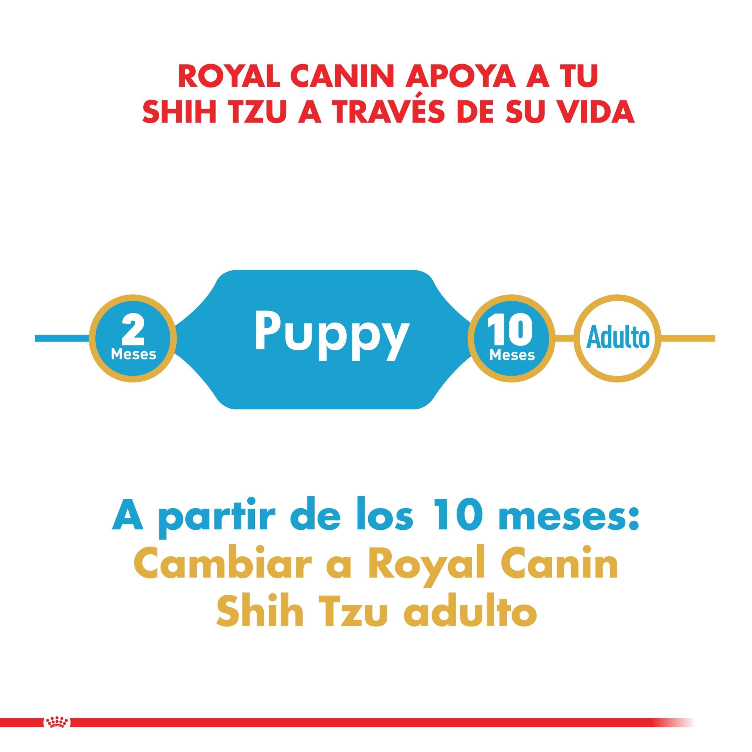 Royal Canin Cachorro Shih Tzu Puppy 2.5Kg ( Seco ) - Imagen 5