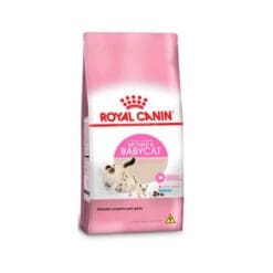 Royal Canin Gatito Mother & Babycat 1.5Kg  ( Seco )