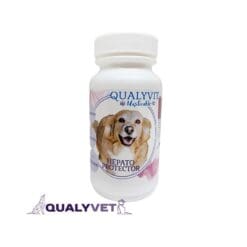 Qualyvit Protector Hepatico 33 Und Masticables